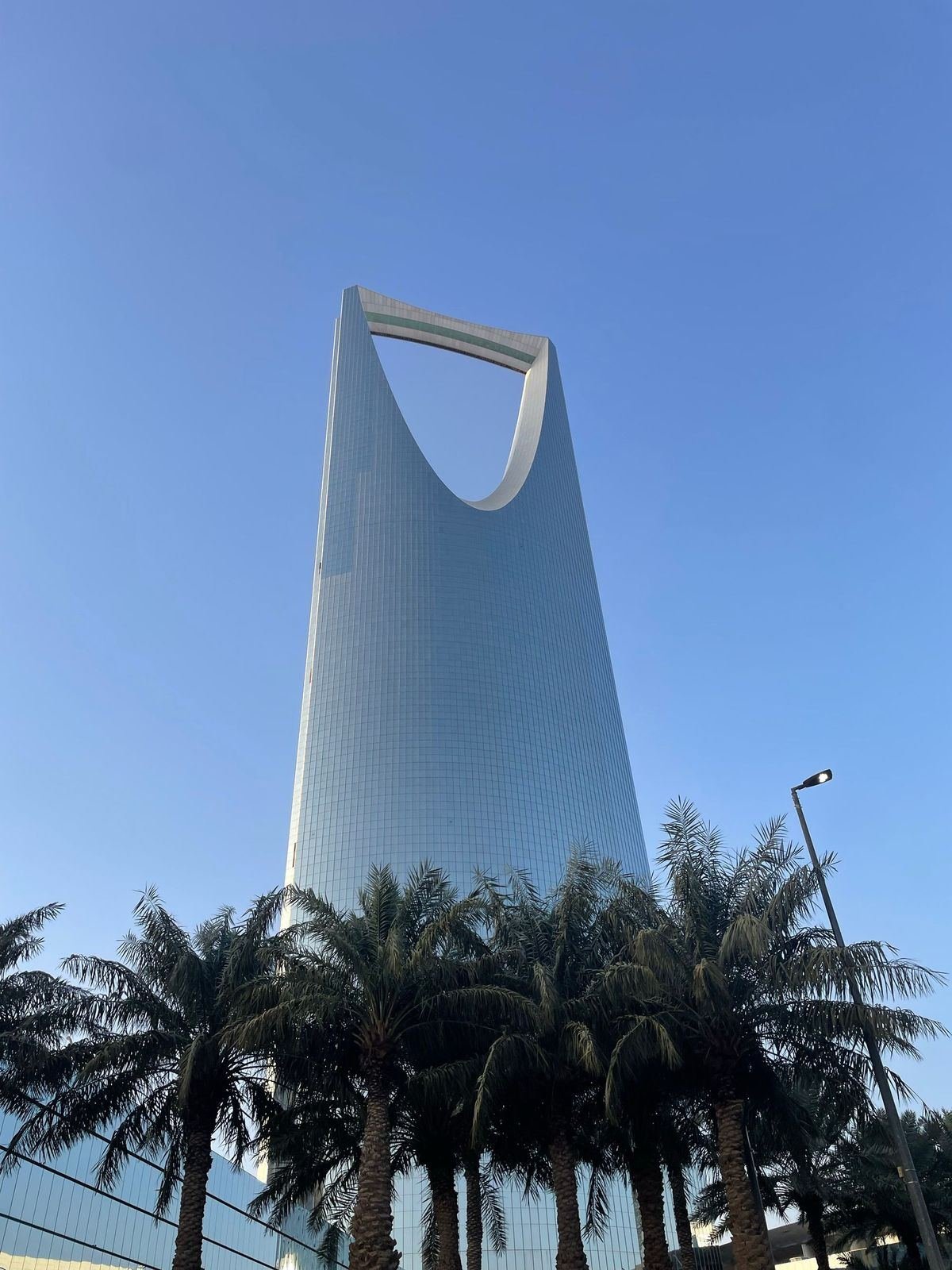 برج المملكة في الرياض وسط أشجار النخيل